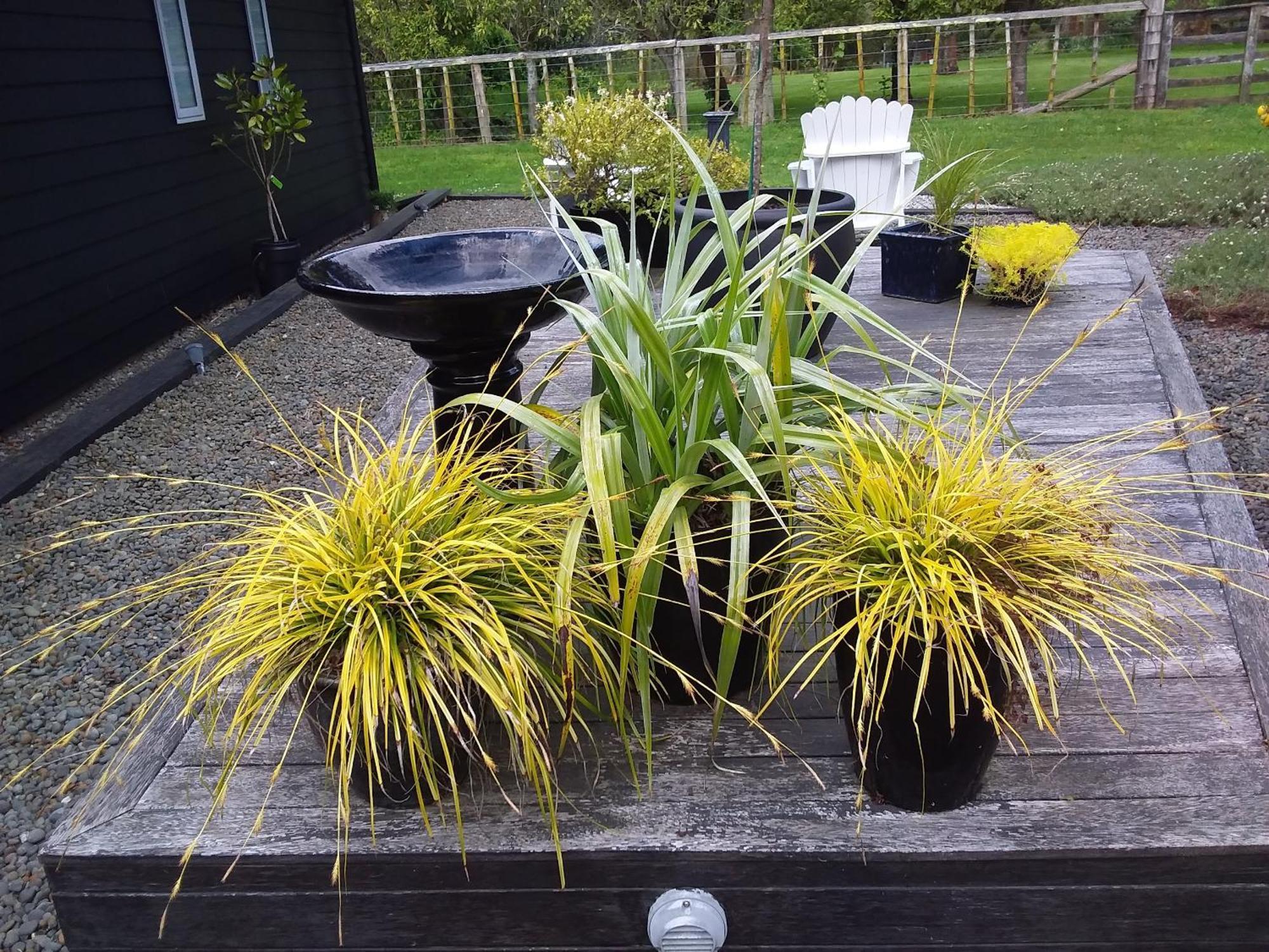 Karapiro Willows Luxury B & B Cambridge Exterior photo