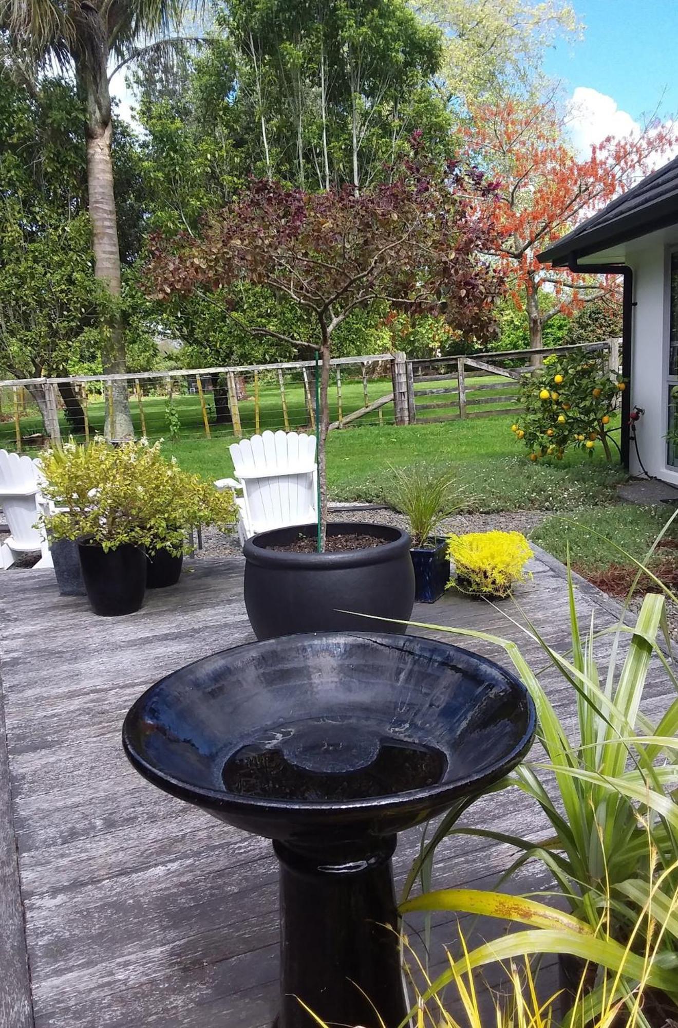 Karapiro Willows Luxury B & B Cambridge Exterior photo